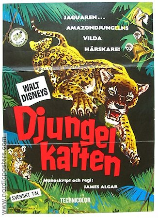 Djungelkatten 1960 poster Winston Hibler James Algar Dokumentärer Katter