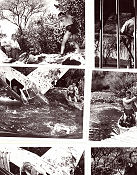 Tarzan´s Greatest Adventure 1959 filmfotos Gordon Scott Sean Connery Anthony Quale John Guillermin Hitta mer: Tarzan
