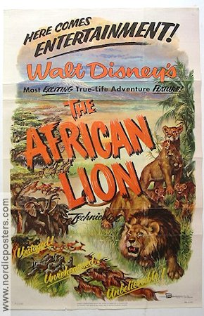 The African Lion 1955 movie poster Documentaries Cats
