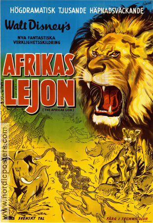 The African Lion 1955 poster Disney