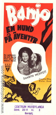 Banjo en hund på äventyr 1947 poster Sharyn Moffett Jacqueline White Walter Reed Richard Fleischer Hundar