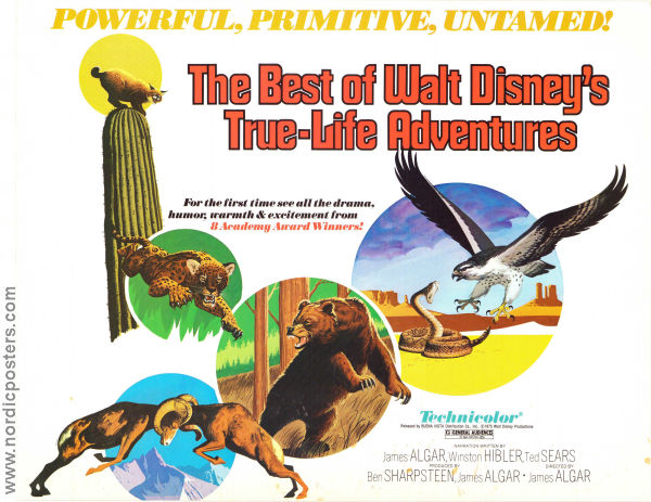 The Best of Walt Disney´s True-Life Adventures 1975 lobby card set Winston Hibler James Algar Documentaries
