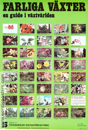 Farliga växter 1976 poster Stockholms socialförvaltning Poster artwork: Millan Wigander Flowers and plants