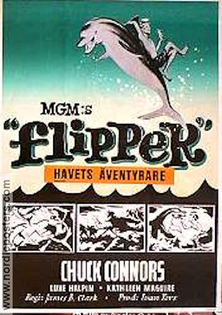 Flipper 1963 movie poster Chuck Connors Luke Halpin Connie Scott James B Clark Fish and shark