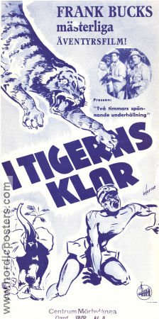 Tiger Fangs 1943 movie poster Frank Buck June Duprez Duncan Renaldo Sam Newfield Cats