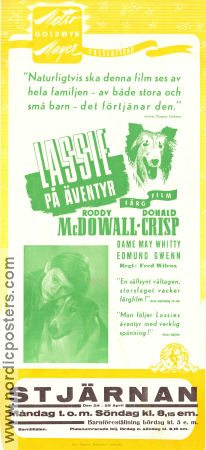 Lassie på äventyr 1943 poster Roddy McDowall Elizabeth Taylor Donald Crisp May Whitty Fred M Wilcox Hundar