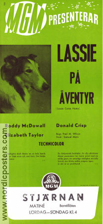 Lassie på äventyr 1943 poster Roddy McDowall Elizabeth Taylor Donald Crisp May Whitty Fred M Wilcox Hundar