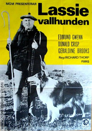 Lassie vallhunden 1950 poster Edmund Gwenn Lassie Hundar