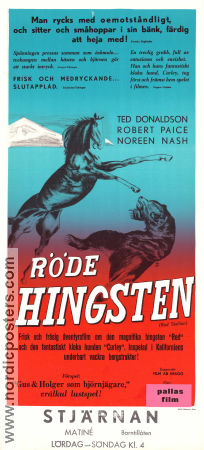 Röde hingsten 1947 poster Robert Paige Noreen Nash Ted Donaldson Lesley Selander Hästar