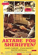Support Your Local Sheriff! 1969 movie poster James Garner Joan Hackett Walter Brennan Burt Kennedy
