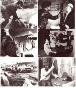 The Zebra Killer 1974 photos Juanita Moore Austin Stoker Hugh Smith William Girdler Police and thieves