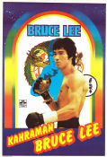 Bruce Lee: The Man and the Legend 1973 poster Mei Wang Bruce Lee Linda Lee Cadwell Dokumentärer Affischen från: Turkey