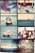 Cyclone 1978 photos Arthur Kennedy Carroll Baker Lionel Stander René Cardona Jr Country: Mexico Fish and shark