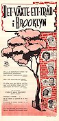 A Tree Grows in Brooklyn 1945 poster Joan Blondell Elia Kazan