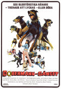 The Doberman Gang 1972 movie poster Julie Parrish Byron Mabe Hal Reed Byron Chudnow Dogs