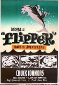 Flipper 1963 poster Chuck Connors Luke Halpin Connie Scott James B Clark Fiskar och hajar