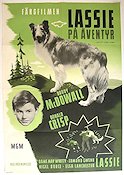 Lassie Come Home 1943 movie poster Roddy McDowall Elizabeth Taylor Donald Crisp May Whitty Fred M Wilcox Dogs