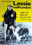 Lassie vallhunden 1950 poster Edmund Gwenn Lassie Hundar