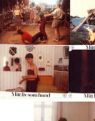 My Life as a Dog 1985 lobby card set Anton Glanzelius Tomas von Brömssen Anki Lidén Melinda Kinnaman Lasse Hallström Kids