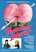 Passionens labyrint 1982 poster Antonio Banderas Cecilia Roth Pedro Almodovar Spanien Konstaffischer