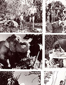 Tarzan and the Trappers 1960 photos Gordon Scott Eve Brent Rickie Sorensen Charles F Haas Find more: Tarzan