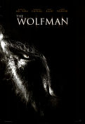 The Wolfman 2010 movie poster Benicio Del Toro